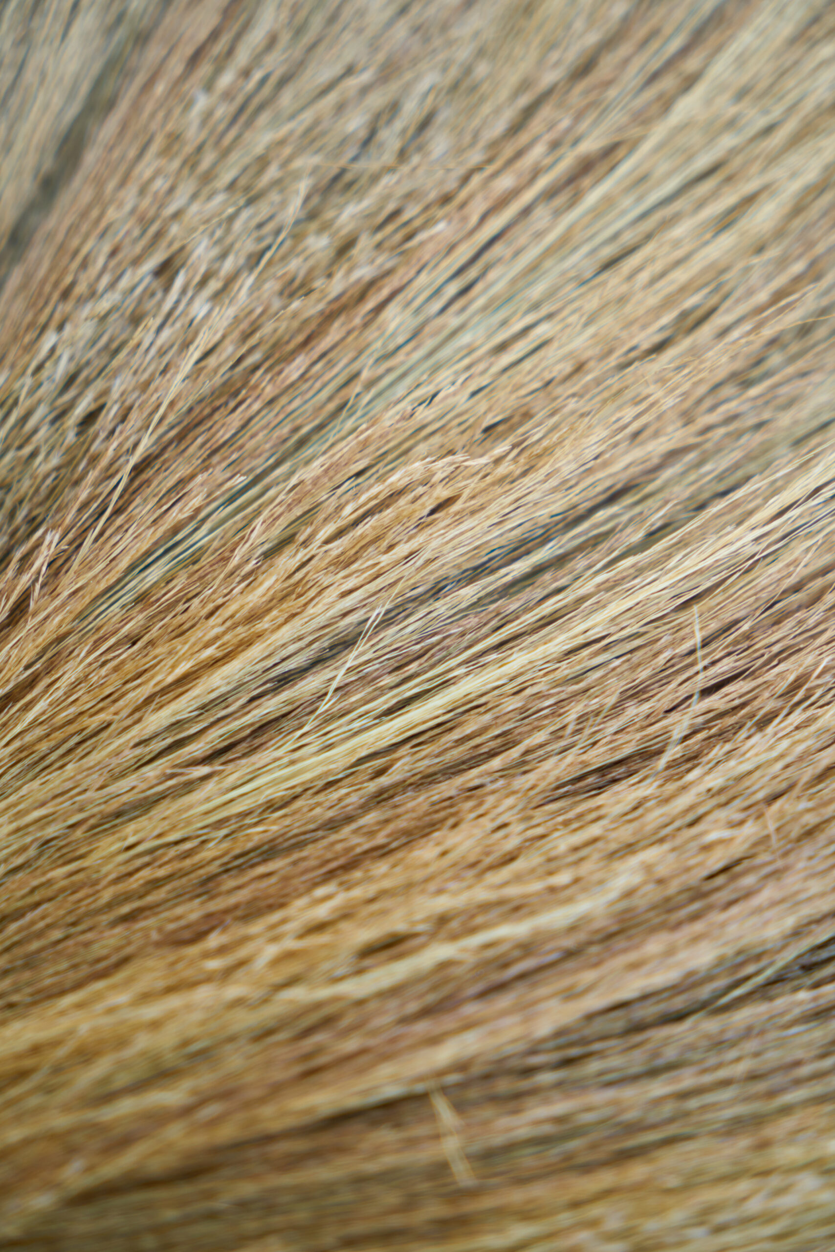 Pigment Perfecting Serum - Image 3